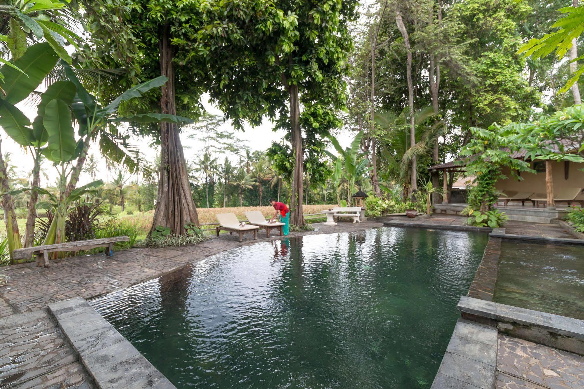 Selemadeg Umasari Rice Terrace Villa מראה חיצוני תמונה